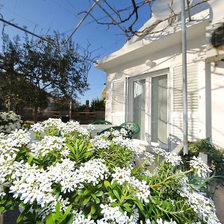 Apartman Antonio زادار المظهر الخارجي الصورة